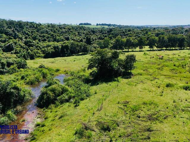 #4311 - Chácara para Venda em Morrinhos - GO