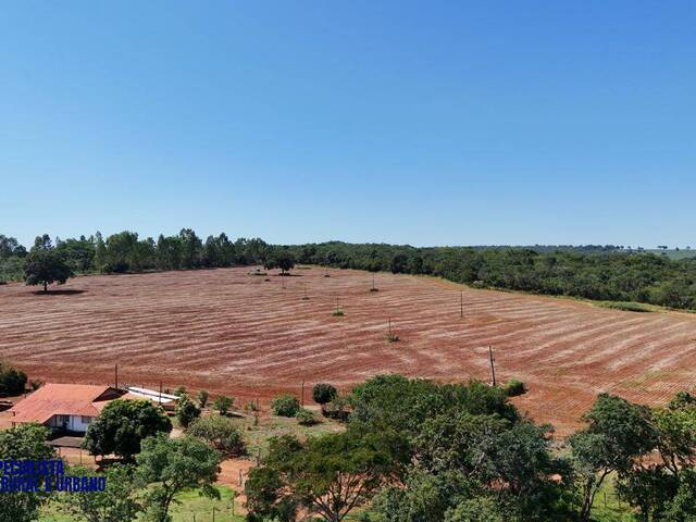 Chácara para Venda em Morrinhos - 4
