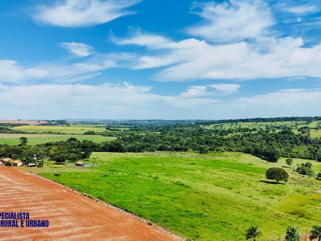 #4311 - Chácara para Venda em Morrinhos - GO