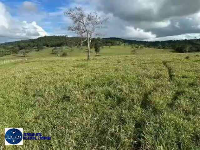 #4316 - Chácara para Venda em Abadia de Goiás - GO