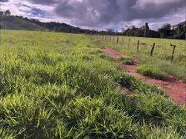 #4316 - Chácara para Venda em Abadia de Goiás - GO