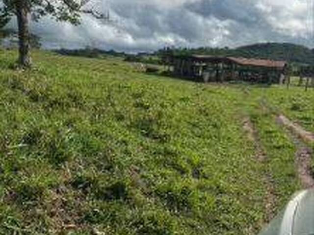 Chácara para Venda em Abadia de Goiás - 4