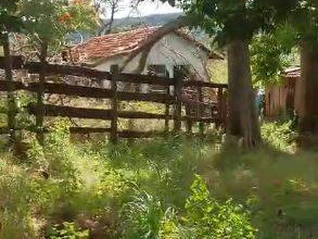 Fazenda para Venda em Ivolândia - 4