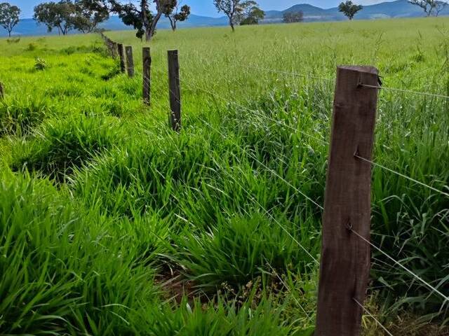 Fazenda para Venda em Ponte Alta do Tocantins - 4