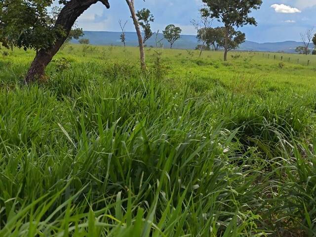 Fazenda para Venda em Ponte Alta do Tocantins - 5