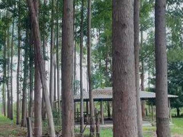 Chácara para Venda em Itapuranga - 5