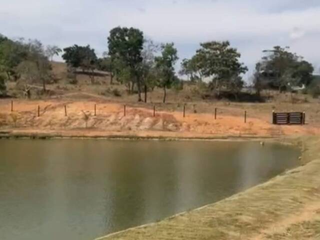 #4322 - Fazenda para Venda em São Luíz do Norte - GO