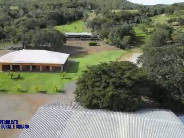 Fazenda para Venda em São Luíz do Norte - 5
