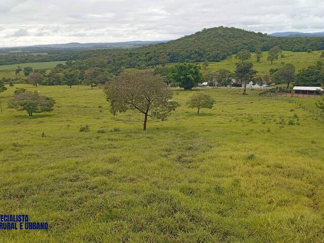 #4324 - Fazenda para Venda em Uruana - GO
