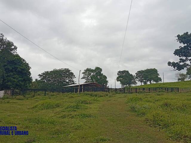 Fazenda para Venda em Uruana - 5