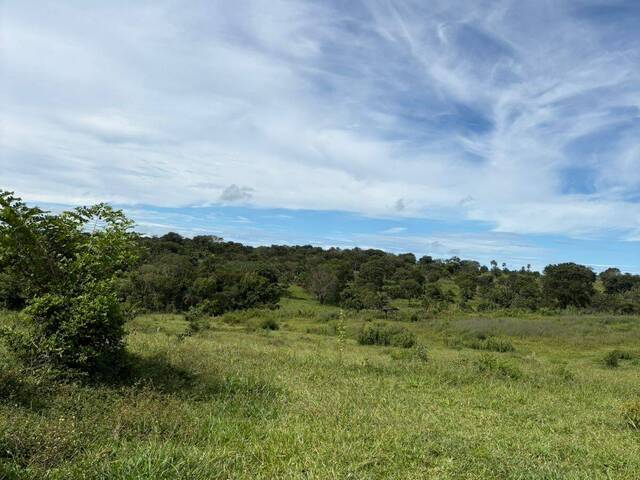 #4325 - Fazenda para Venda em Morrinhos - GO