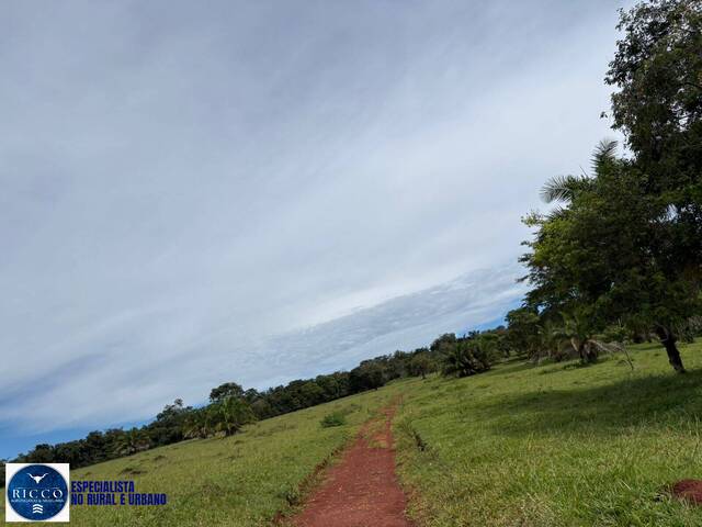 Fazenda para Venda em Morrinhos - 4