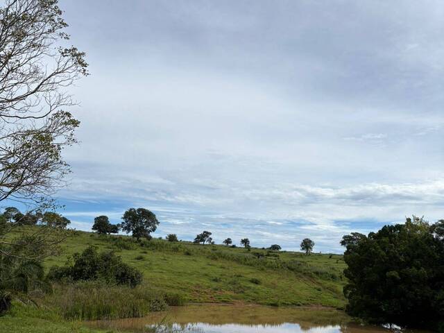Fazenda para Venda em Morrinhos - 5