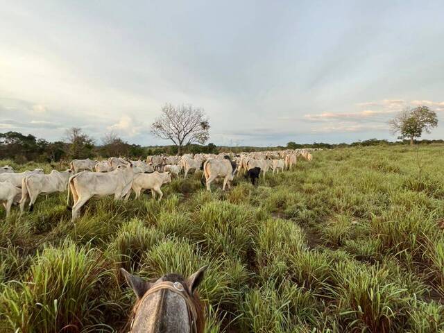 Fazenda para Venda em Crixás - 4
