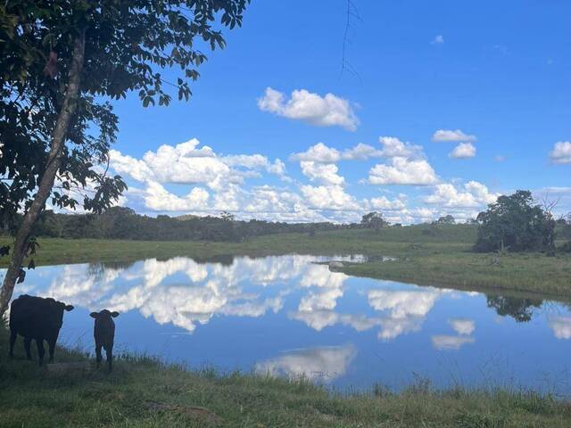 #4326 - Fazenda para Venda em Crixás - GO