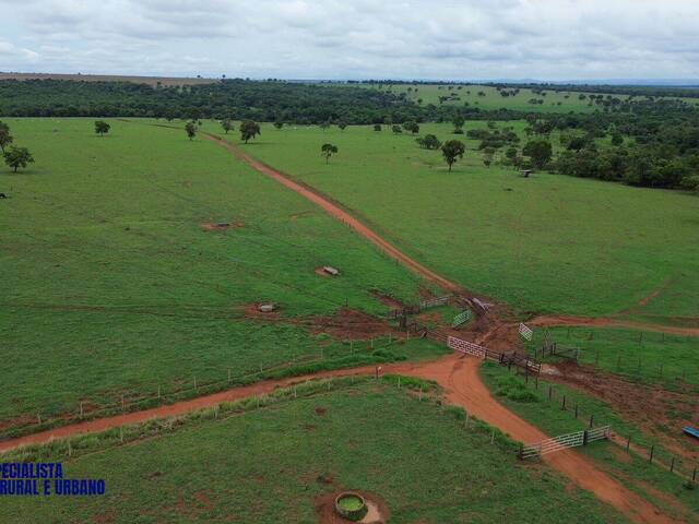 #4328 - Chácara para Venda em Jussara - GO