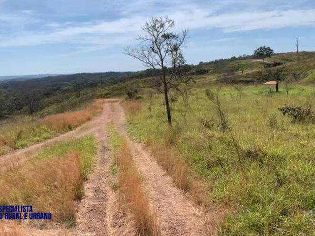#4329 - Fazenda para Venda em Pires do Rio - GO