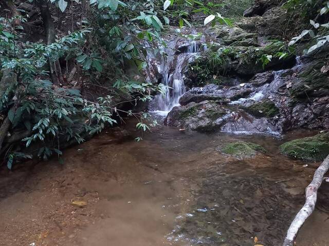Fazenda para Venda em Pires do Rio - 4