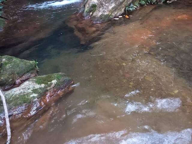 Fazenda para Venda em Pires do Rio - 5