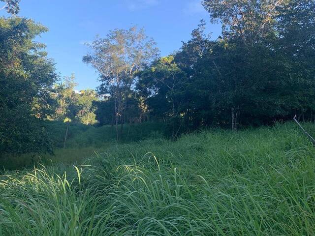 Chácara para Venda em Uruaçu - 4