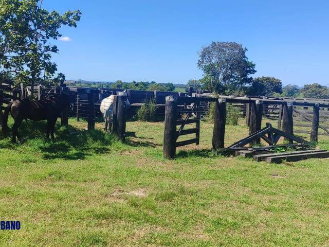 #4331 - Fazenda para Venda em Araguapaz - GO