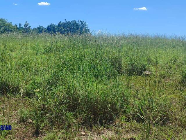 Fazenda para Venda em Araguapaz - 4
