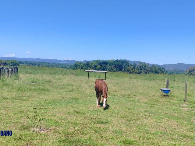 #4331 - Fazenda para Venda em Araguapaz - GO