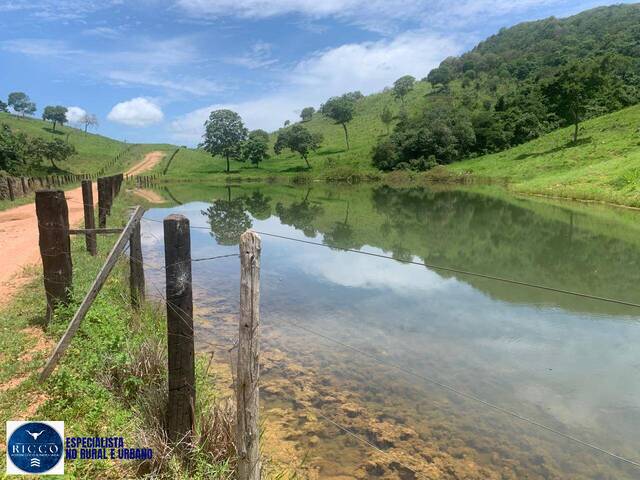 Fazenda para Venda em Formoso - 2