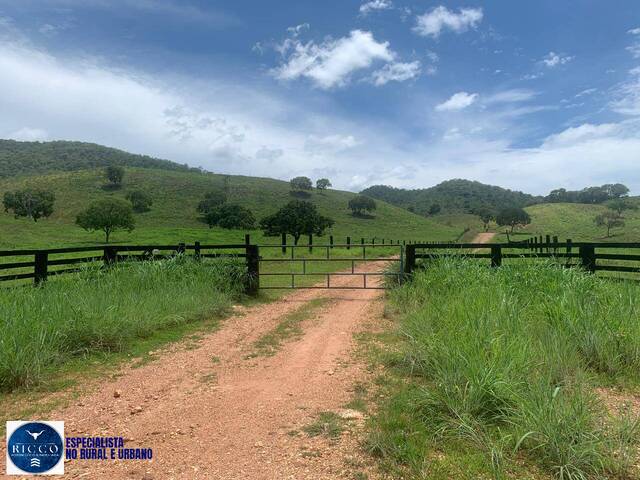 Fazenda para Venda em Formoso - 3