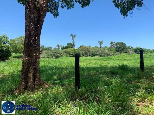 Fazenda para Venda em Formoso - 4