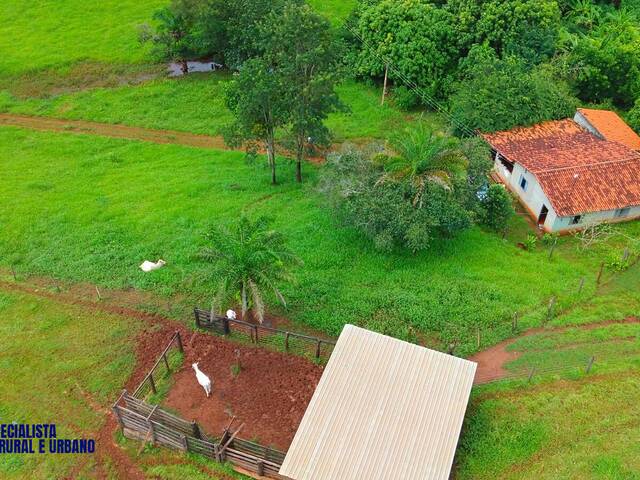 Chácara para Venda em Santa Isabel - 2