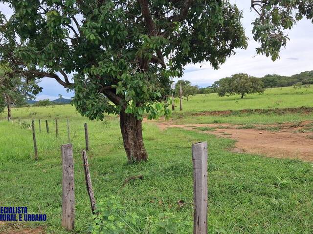 Fazenda para Venda em Piracanjuba - 3