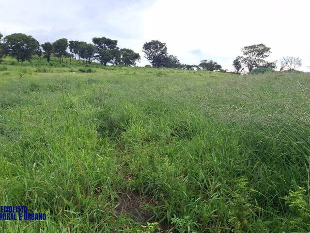 Fazenda para Venda em Piracanjuba - 4