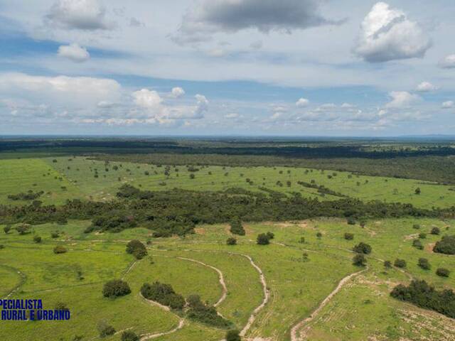 Fazenda para Venda em Figueirópolis - 3