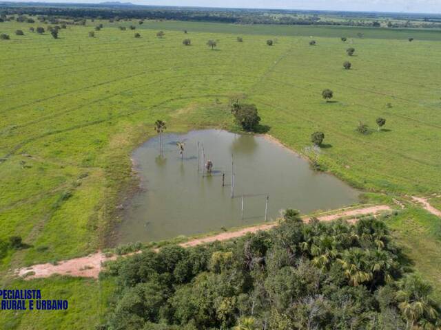 Fazenda para Venda em Figueirópolis - 2