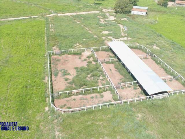 Fazenda para Venda em Figueirópolis - 5
