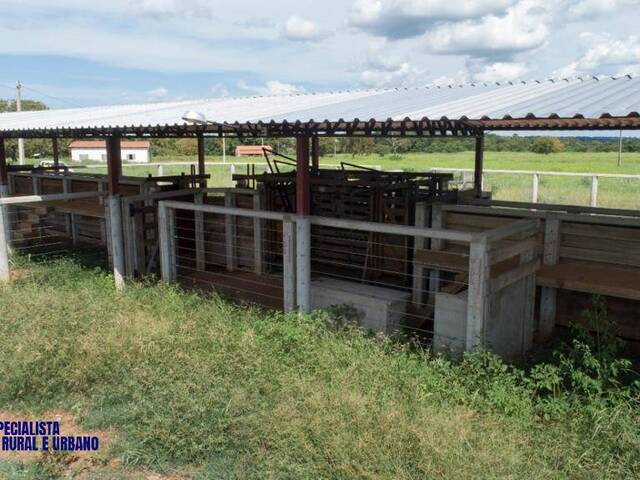 Fazenda para Venda em Figueirópolis - 4