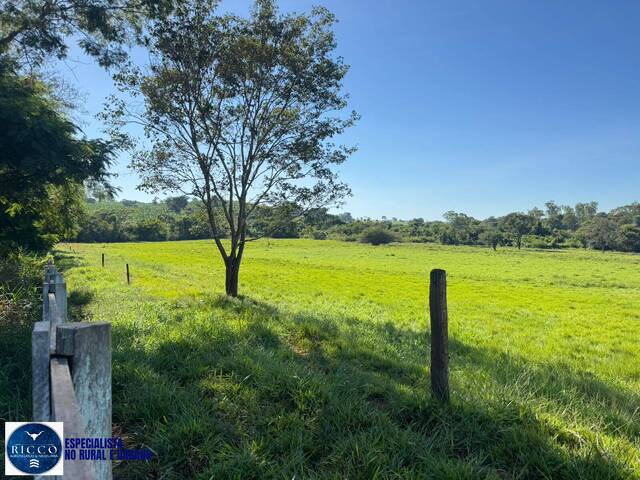 Chácara para Venda em Itaguari - 3