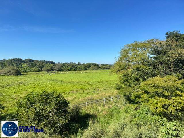 Chácara para Venda em Itaguari - 4