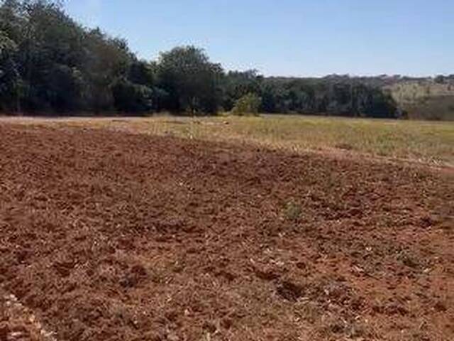 Chácara para Venda em Bela Vista de Goiás - 3