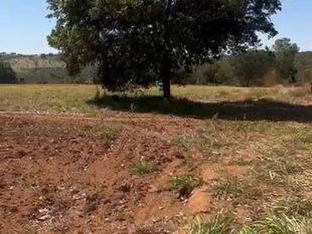 Venda em zona rural - Bela Vista de Goiás