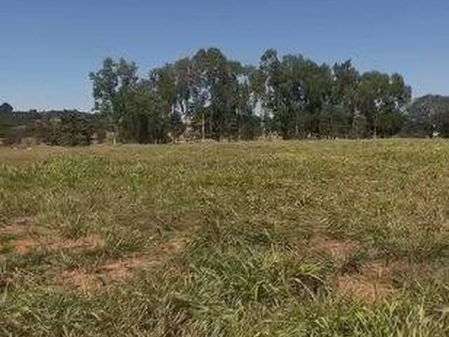 Chácara para Venda em Bela Vista de Goiás - 4