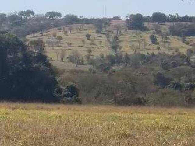 Chácara para Venda em Bela Vista de Goiás - 5