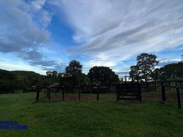 Fazenda para Venda em Goiás - 3