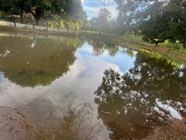 Fazenda para Venda em Goiás - 2