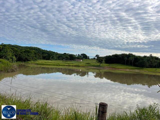Venda em zona rural - Goiás
