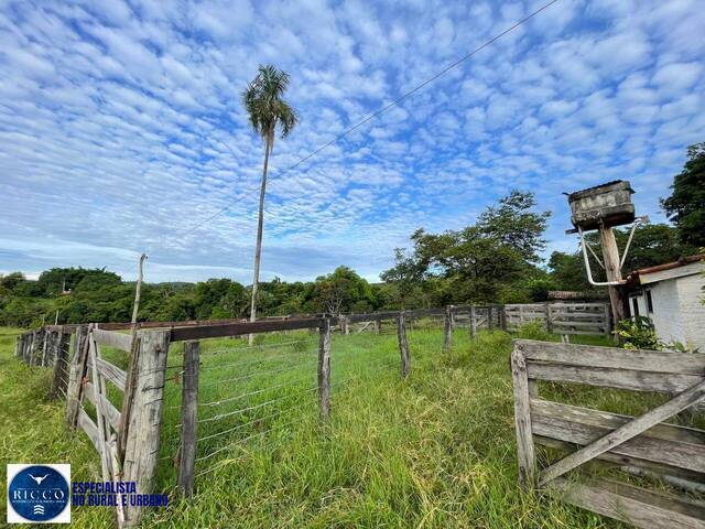 Fazenda para Venda em Goiás - 4