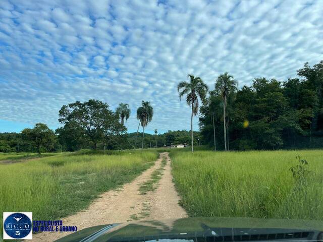 Fazenda para Venda em Goiás - 3