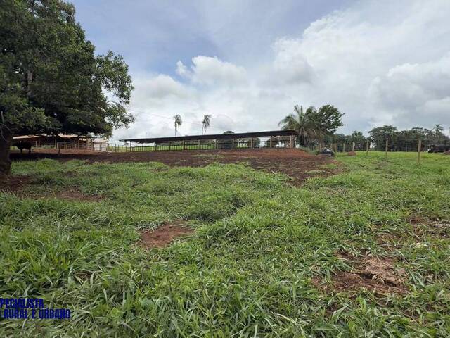 Venda em zona rural - Bela Vista de Goiás