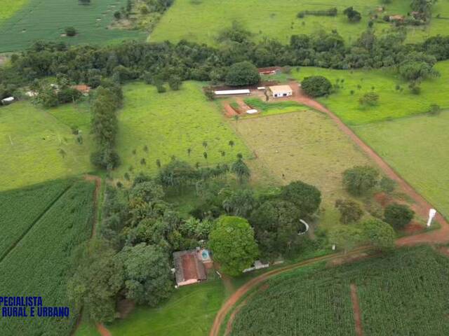 Chácara para Venda em Bela Vista de Goiás - 2